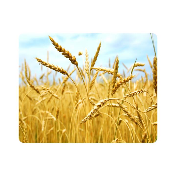 ماوس پد اطلس آبی طرح گندمزار و خوشه گندم  مدل T7090